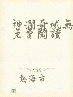 神澜奇域无双珠免费阅读