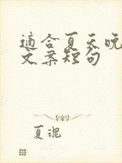 适合夏天晚风的文案短句