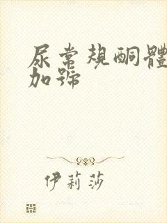 尿常规酮体1个加号