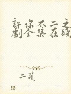 许你不二之臣短剧全集在线观看