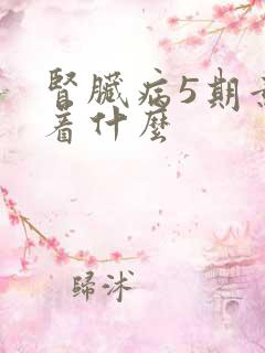 肾脏病5期意味着什么