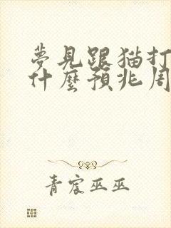 梦见跟猫打架是什么预兆周公解梦