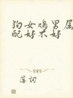 狗女鸡男属相婚配好不好