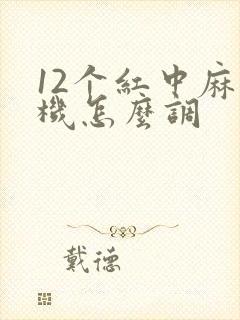 12个红中麻将机怎么调