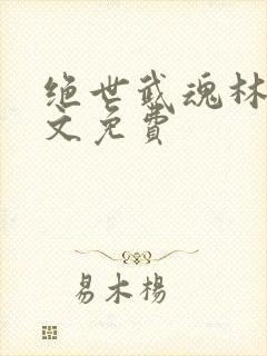 绝世武魂林枫全文免费