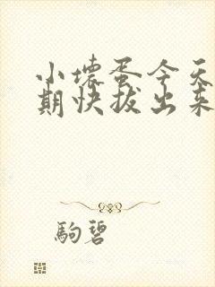 小坏蛋今天危险期快拔出来