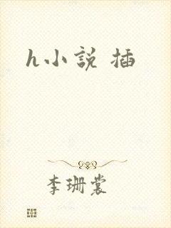 h小说 插