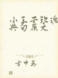 小王子玫瑰花经典句原文