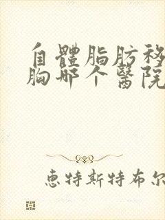 自体脂肪移植隆胸哪个医院好