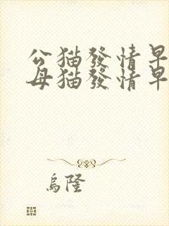 公猫发情早还是母猫发情早