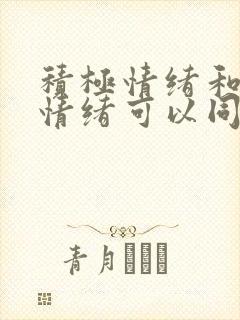 积极情绪和消极情绪可以同时存在