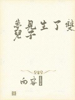 梦见生了双胞胎儿子