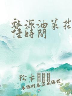 婺源油菜花的最佳时间