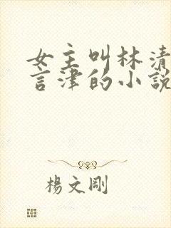 女主叫林清妍宋言津的小说免费阅读