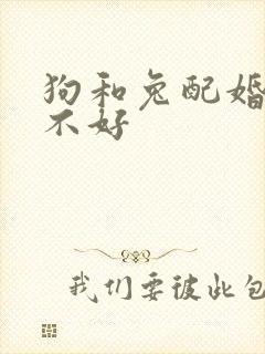 狗和兔配婚姻好不好