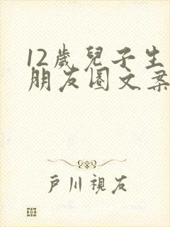 12岁儿子生日朋友圈文案