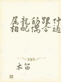 属龙的跟什么属相配偶合适