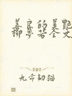 善良的美艳妈妈柳梦若全文阅读