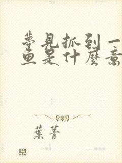 梦见抓到一条大鱼是什么意思