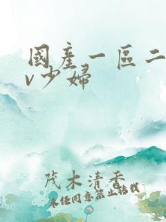 国产一区二区av少妇