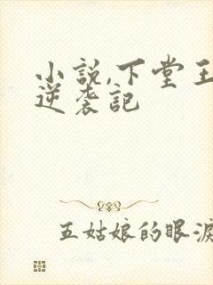 小说,下堂王妃逆袭记