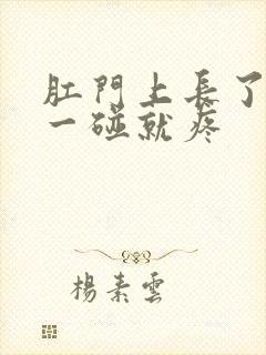 肛门上长了肉球一碰就疼