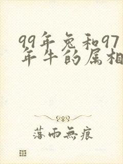 99年兔和97年牛的属相合不合