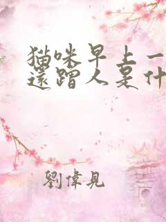 猫咪早上一直叫还蹭人是什么意思