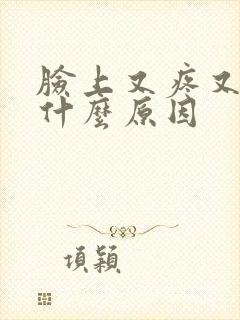 脸上又疼又痒是什么原因