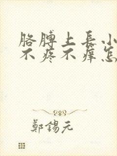 胳膊上长小红点不疼不痒怎么回事