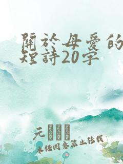 关于母爱的现代短诗20字