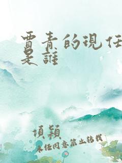 贾青的现任丈夫是谁