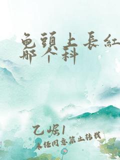 龟头上长红斑挂哪个科