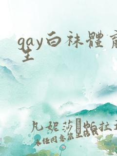 gay白袜体育生