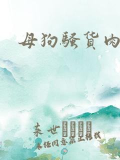 母狗骚货肉便器