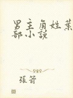 男主角姓叶的全部小说