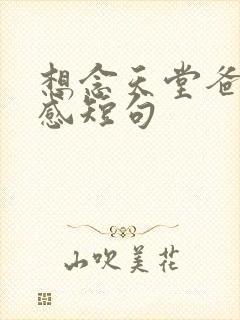 想念天堂爸爸伤感短句