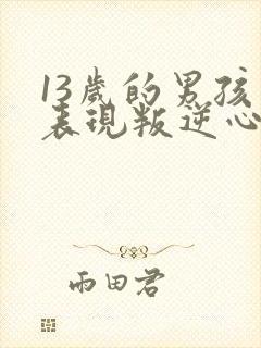 13岁的男孩有表现叛逆心态怎么办