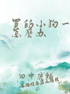 买的小狗一直叫怎么办