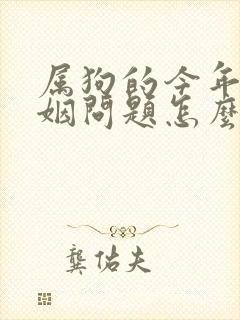 属狗的今年的婚姻问题怎么样