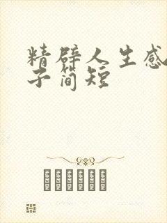 精辟人生感悟句子简短