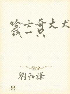 哈士奇大犬多少钱一只