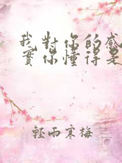 我对你的感觉其实你懂得是什么歌