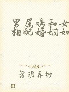 男属鸡和女属兔相配婚姻如何