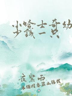 小哈士奇幼犬多少钱一只