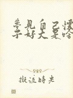 梦见自己怀孕肚子好大是啥预兆