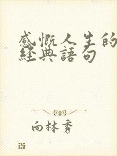 感慨人生的句子经典语句