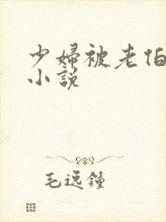 少妇被老伯征服小说