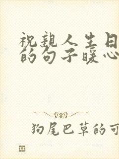 祝亲人生日快乐的句子暖心