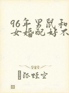 96年男鼠和兔女婚配好不好